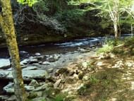 Early checks near Gordon Creek showed no clear signs of a struggle. (Image via Unsplash)
